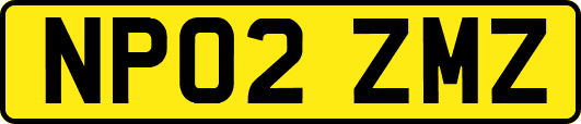 NP02ZMZ