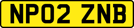 NP02ZNB
