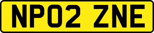 NP02ZNE