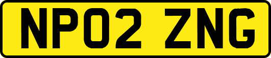 NP02ZNG