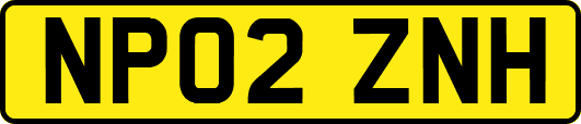 NP02ZNH