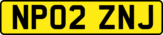 NP02ZNJ