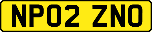 NP02ZNO