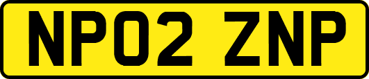 NP02ZNP
