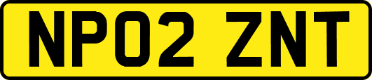 NP02ZNT