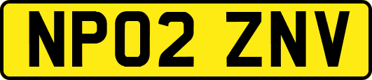 NP02ZNV