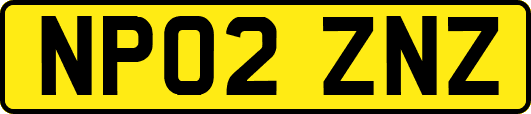NP02ZNZ