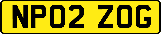 NP02ZOG