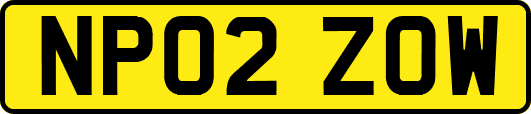 NP02ZOW