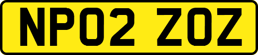 NP02ZOZ