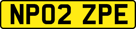 NP02ZPE