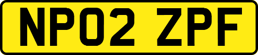 NP02ZPF