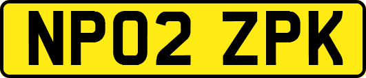 NP02ZPK