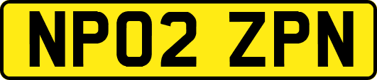 NP02ZPN