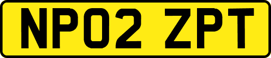 NP02ZPT
