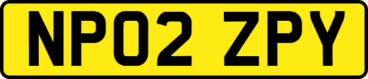 NP02ZPY