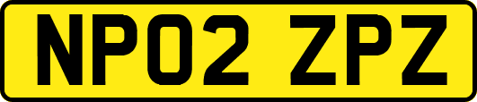 NP02ZPZ