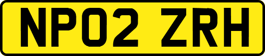 NP02ZRH