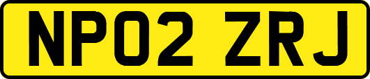 NP02ZRJ