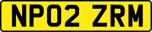 NP02ZRM
