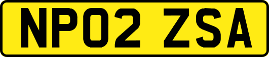 NP02ZSA