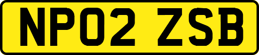 NP02ZSB