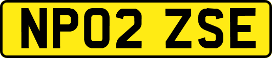 NP02ZSE