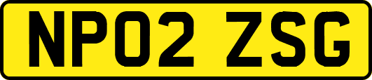 NP02ZSG