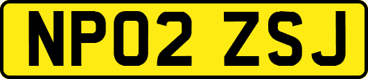 NP02ZSJ