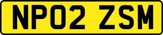 NP02ZSM