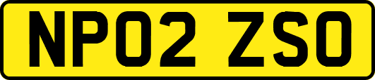 NP02ZSO