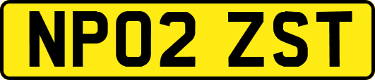 NP02ZST