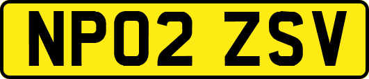 NP02ZSV