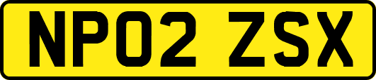NP02ZSX