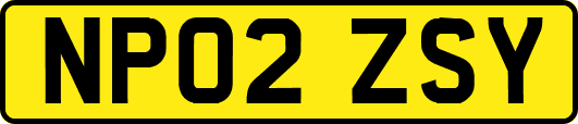 NP02ZSY