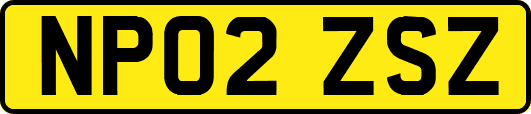 NP02ZSZ