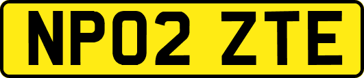 NP02ZTE