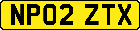 NP02ZTX