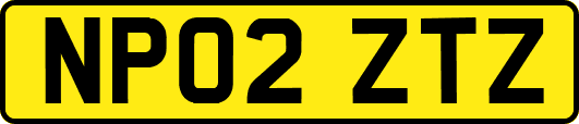 NP02ZTZ