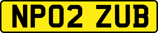 NP02ZUB