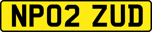 NP02ZUD