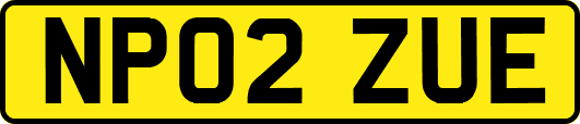 NP02ZUE