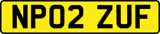 NP02ZUF