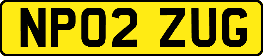 NP02ZUG