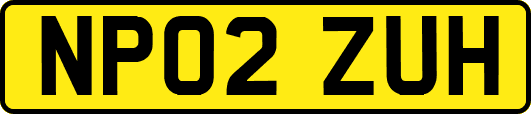 NP02ZUH
