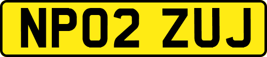 NP02ZUJ