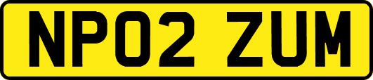 NP02ZUM