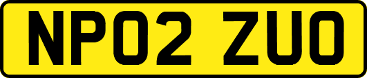 NP02ZUO