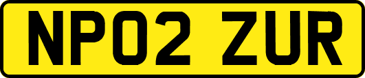 NP02ZUR