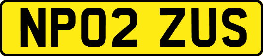 NP02ZUS